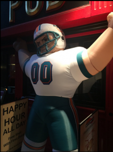 Dolphins Fans NYC