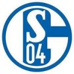Schalke supporters NYC