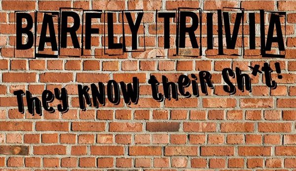 Bar Fly Trivia - bricks
