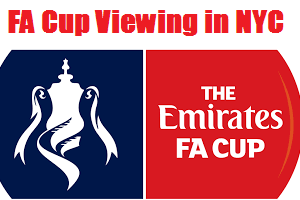 fa-cup-viewing300