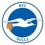 NYC Gulls - Brighton & Hove Albion supporters club of NYC