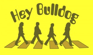 hey-bulldog