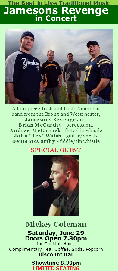 newyorkirishcenter6-29-13