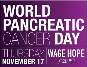 world-pancreatic-cancer-day300