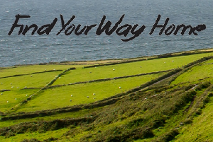 find-your-way-home
