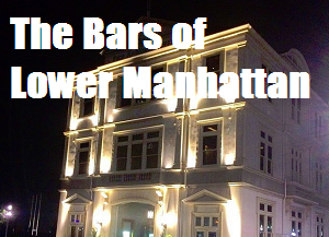 bars-of-lower-manhattan300